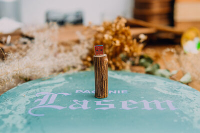 Wooden twig flash drive 16-128gb 3.0
