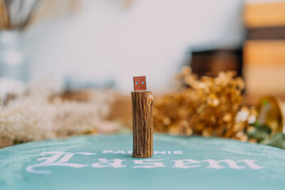 Wooden twig flash drive 16-128gb 3.0