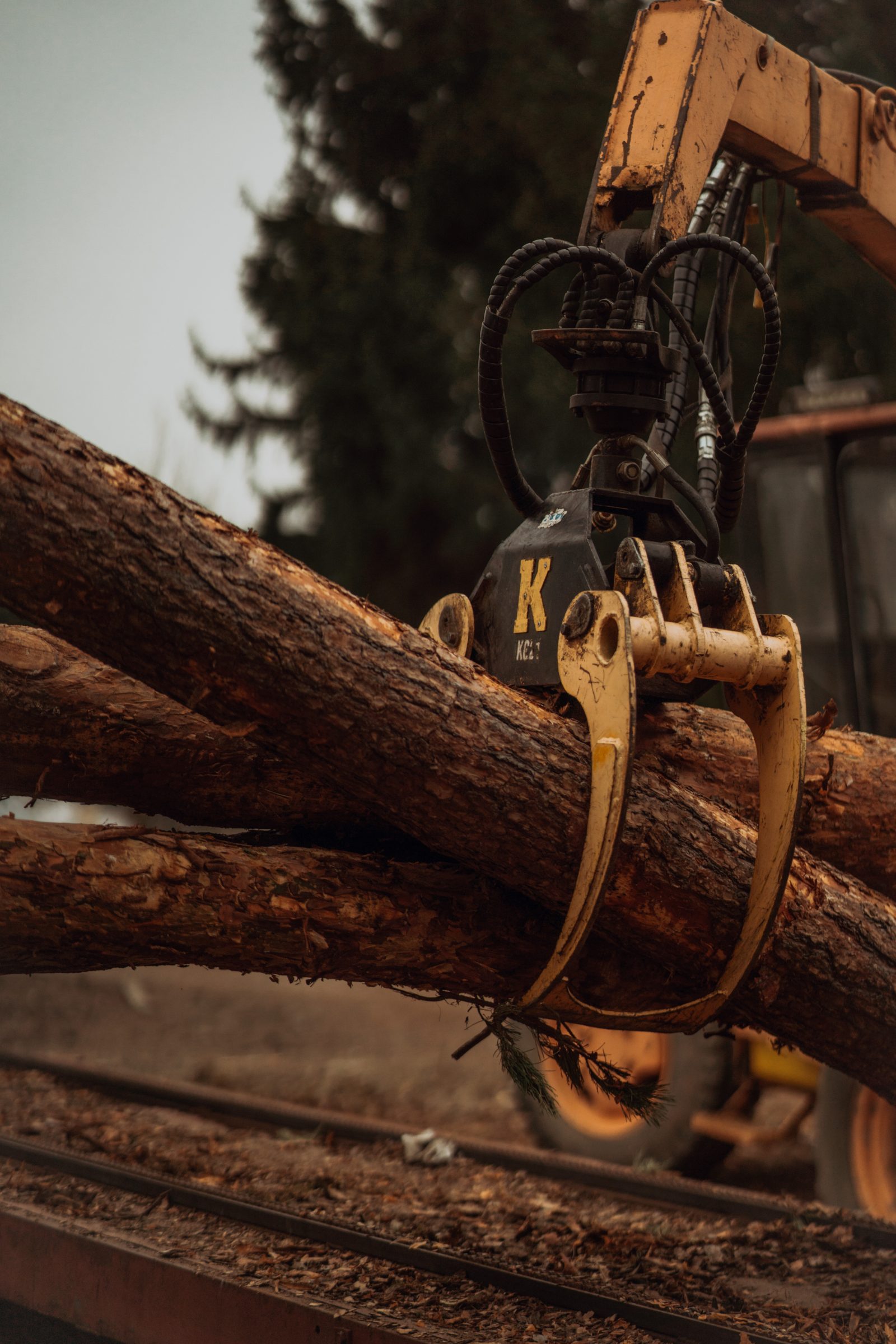 WoodenShop workshop — additional photo 6