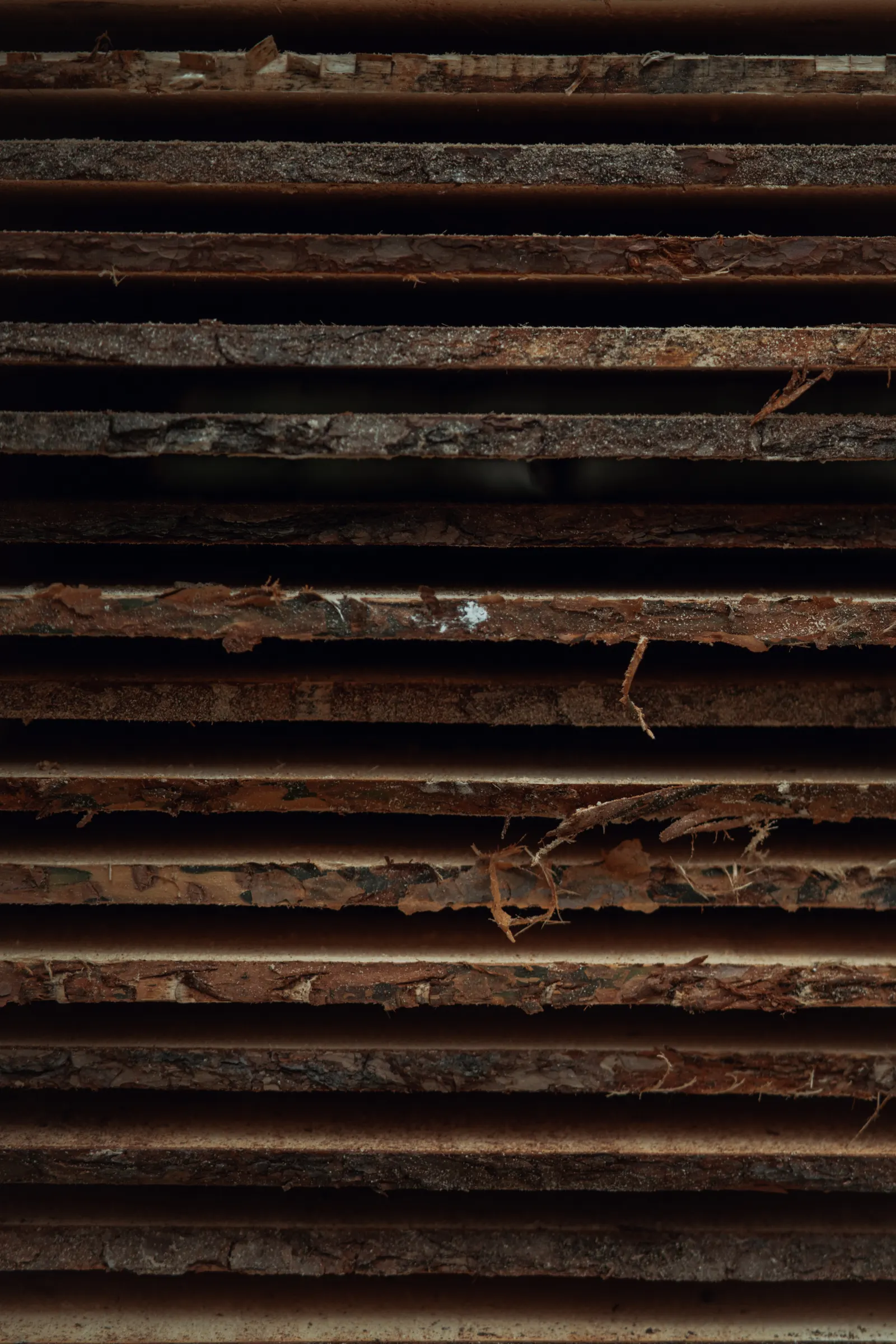 Sawmill and joinery